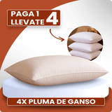 Kit 4 Almohadas de Pluma de Ganso – Antialérgicas | PAGA 1 LLEVATE 4